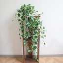 Fake English Ivy Plants in Pots Set of 2 Realistic Artificial Ivy Greenery for Home Decor, Tabletop, Office, Shelf, Balcony, Lifelike Faux Hanging Vines, No Maintenance Required - White and Green