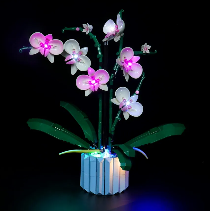 LED Light Kit for Lego Orchid 10311 Plant Decor Building Set; Decoration Lights Build a Succulents Display Piece for The Home or Office (Lights Only, No Lego Models)