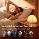 HOUSBAY Sunrise Alarm Clock Radio for Bedroom Wake Up Naturally with Gentle Light & Nature Sounds, Relax with Bluetooth Speaker & Night Light