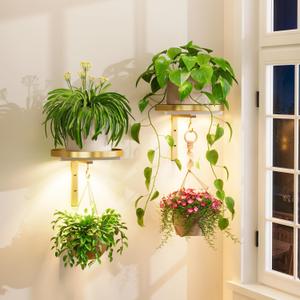 iDavosic.ly Wall Plant Holder with Grow Lights Set of 2 for Indoor Outdoor, Metal Hanger with 2 Hooks, Floating Flower Display Stand for Window, Space Saving & Easy to Assemble (Pots Not Included), Gold