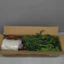 4.2 FT Real Touch Norfolk Pine Christmas Tree - Christmas Decorations - Artificial Shrubs Fake Potted Plants Faux Bushes for Christmas Decorations Outdoor Indoor Home Front Porch Decor