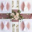 PLASTICPRO 30 Translucent Pink Plastic Plates 8 inch High Edge Elegant Heavyweight Plastic Disposable Dinner Plates Fancy Party Plates