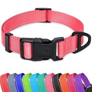 Taglory Reflective Adjustable Dog Collars for Puppy Small Medium Large Dogs, Thin Nylon Webbing and Quick Release Plastic Buckle(Neon Pink, X-Large) (XL(1.25"x18-28"))