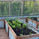G-LEAF Garden Stakes 4 ft Plastic Coated Steel Tube Sturdy Metal Plant Sticks for Tomato,Cucumber,Bean,Tree,Pack of 50