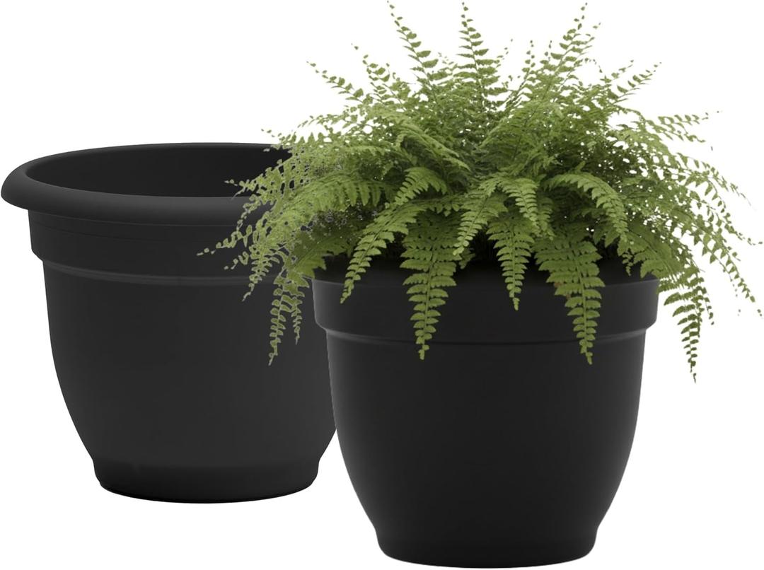 Bloem Ariana 12" Plastic Self-Watering Planter, Black, 2-Pack | Self-watering disk at the bottom of each pot that acts as a water wick and reservoir for optimal plant health