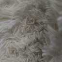 FinRèc White Rugs for Bedroom Living Room, 4x6 Feet Fluffy Shaggy Area Rug, Non-Slip Soft Shag Rug for Nursery Kids Room Dorm Room Home Decor, Indoor Plush Floor Carpet