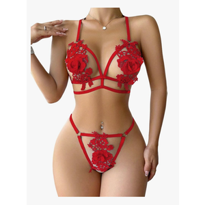 Avidlove Lingerie Sets for Women Sexy 2 Piece Bra Panty Set Appliques Cut Out Outfits for Women , Red, XL