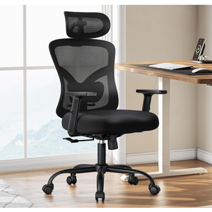 Marsail Ergonomic Office Chair with Lumbar Support and 2D Headrest