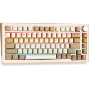 HUO JI 75% Wireless Mechanical Keyboard, Pre-lubed Blue Switches, Hot Swappable, Gasket Structure, Bluetooth/2.4GHz/USB-C, Led Backlit, PBT Keycap Custom Gaming Keyboard for PC