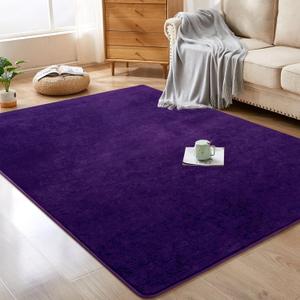 Softlife Washable Bedroom Rug, 4x6 Purple Area Rugs for Living Room, Soft Fluffy Fuzzy Carpet Bedside Rugs Indoor Non-Slip Rug for Kids Home Decor Aesthetic Dorm Nursery