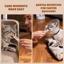 Havira Healthy Lickable Creamy Cat Treats Digestion Support  Chicken Recipe Squeeze Treats with probiotics & Lactic Cultures, Creamy Functional Snacks for Gentle Digestion & Daily Comfort, Grain Free