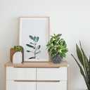 Artificial Plants Indoor Outdoor, Faux Variegated Oak Leaf Plant, Fake Potted Plants Artificial Decor for Coffee Table Desk Shelf, Faux Plants Indoor for Living Room Bathroom Bedroom Entryway Office