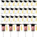 24 Pcs Cake Push Containers with Graduation Caps Clear Round Plastic Cake Pop Shooter Stand with Lids for Grad Party Supplies Graduation Party Favors Pop Desserts Ice Cream