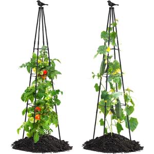 FOLLOOK Cucumber Trellis, 67" Tall Obelisk Garden Trellis for Climbing Plants Outdoor Plastic-Coated Metal Support for Flower Vine Vegetable Tomato Cage Cucumebr Trellis Raised Bed, Black, 2 Pack