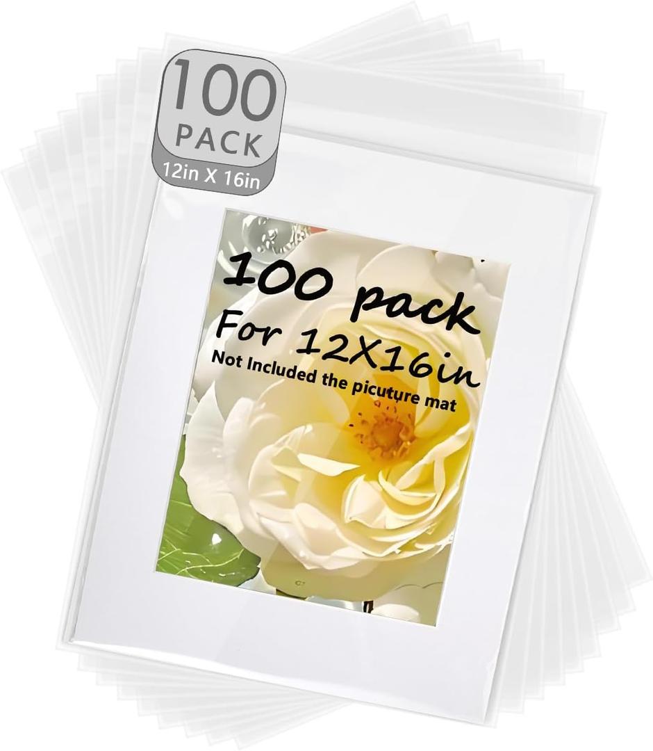 Pack of 100 12 2/5 X 16 5/9 Acid-Free Clear Bags,Crystal Clear Sleeves Storage Bags for 12x16 Picture Framing Mats Art Prints/Photos/Painting/Plastic Sheet(12 2/5 X 16 5/9 inch for 12x16 Mats)