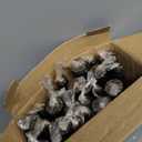 24 Pack Tall Taper candles-10 Inch Black Dripless, Unscented Dinner Candle Sticks, for Shabby, Halloween, Christmas, Wedding, 8 Hours Burn Time.