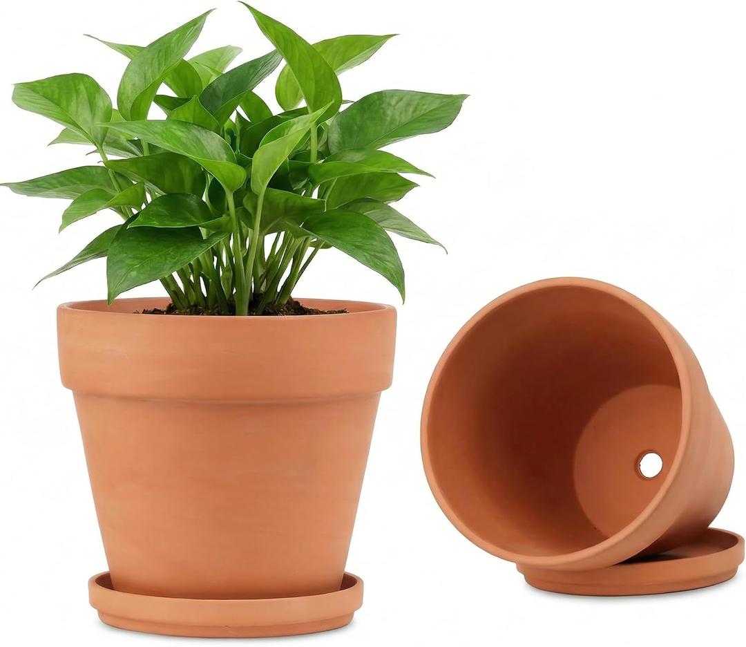 Riseuvo 8 Inch Large Terracotta Pots with Saucers 2 Pack Big Clay Flower Pots with Drainage Hole, Clay Pot for Succulents, Cactus, Indoor, Outdoor Patio and Garden Plants