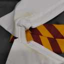 Disguise womens Gryffindor (Medium (8-10), Red & Gray)