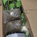 3.6FT Artificial Camellia Fake Tree, Artificial Plants & Flowers with 32 Yellow Pink Flowers for Door Front Decoration Porch Patio Living Room Office Indoor Outdoor Decor (2PCS Contains Dried Moss)