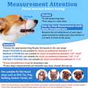 LUCKYPAW Dog Muzzle Suits for Small Medium Large Dogs, Mesh Muzzle Anti Biting Chewing, Breathable Mouth Cover Set with Adjustable Strap for Grooming Vet Visiting Training (Small 3 PCS(XXS-S), Pink)