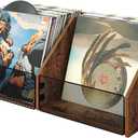 Vinyl Record Storage Double-Compartment 27.6" Record Holder with Metal Mesh File Organizer, Photo Album Storage Box, for Records, Photo Albums, Magazines, Rustic Brown TCW20BF