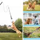Flirt Pole for Small Medium Dogs,Interactive Chase and Tug of War Outdoor Dog Toys,Heavy Duty Dog Teaser Wand Chase Toys with Rope,Durable Flirt Stick Pole for Dogs Outside Agility Exercise & Training