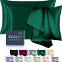 100% Mulberry Silk Pillowcase 2 Pack for Hair and Skin,with Hidden Zipper,Both Sides 19 Momme 600 Thread Count Natural Silk Pillow Cover,Soft Breathable Smooth (Dark Green, Standard 20''x26'')