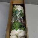 VIERENA 6 Pcs Faux Silk Peony Artificial Flowers for Vase -27", Bulk Fake Peonies Branches with Stems for DIY Bouquet Centerpieces Wedding Fillers Arrangements Shower Decorations (Cream)