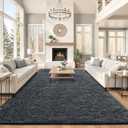 OLANLY 8x10 Machine Washable Large Area Rugs for Living Room, Bedroom, Soft Fluffy Shaggy Bedside Rug, Indoor Floor Carpet for Kids Girls and Boys, Dorms, Nursery, Home Decor Aesthetic, Grey