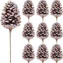 10 Pieces Large Christmas Pine Cones Decorations Picks - Frosted Snow Pine Cones for Christmas Tree, Garland Wreath Ornaments Home Decorating Pinecones Winter Holidays