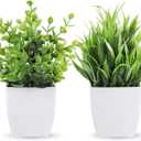Der Rose 2 Pack Small Fake Plants Mini Artificial Potted Plants for Table Desk Home Bathroom Office Decor