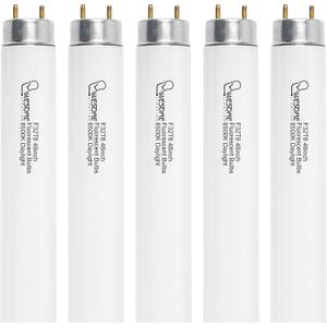 F32T8/865 Fluorescent Light Bulb, 48 Inch, 32 Watts, 6500K Daylight, 2800 Lumens, G13 Bi-Pin Base, 4FT T8 Fluorescent Tube Light Bulbs - 5 Pack