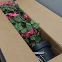 5FT Artificial Bougainvillea Tree  Faux Silk Pink Bougainvillea Plant with Pot for Indoor Outdoor Decor, Tall Fake Tropical Tree for Home, Office, Patio, Balcony, Wedding Decoration (5ft Rose Red)