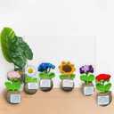 Handmade Crochet Flower with Support Card for Inspirational Gift with Encouragement Card for Office, Desk Decor or Home Decoration (Set of 6)