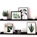 Long Floating Shelves for Wall Decor, Long Wall Mounted Storage Shelf for Bedroom, Living Room, Bathroom, Kitchen, Nursery, Display Picture Ledge Shelf with Lip Set of 2-36 Inches, Black, 35.4in