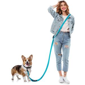Hands Free Dog Leash, 8.2ft Multifunctional Crossbody Rope with Explosion-Proof Handle and Adjustable Training Hands Free Leash for Medium,Large Dogs Walking,Blue
