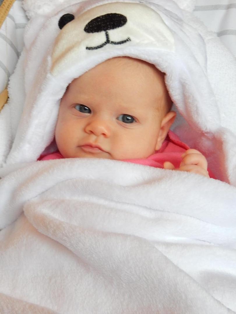Hooded Toddler Blanket | Plush Soft Animal Baby or Infant Hoodie Blankie 36x27 + Hood (Arctic White)