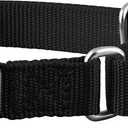 Native Pup Martingale Dog Collar, Adjustable for Small, Medium, Large pet and Puppies Accessories, Cute Colors for Male, Female, Boy, Girl, Puppy (Medium, Black)