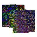 Build Plate 257x257mm - GOMENL Build Plate for Bambu Lab P1P/P1S /X1/X1C/X1E/A1 3D Printer, 3D Printer Spring Steel Removable Platform (PEY-Fake+ PEY-Circle)