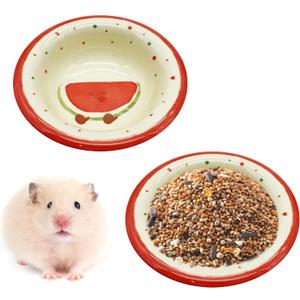 kathson Hamster Ceramic Food Bowl Small Animal Bowls with Watermelon Pattern for Cage Guinea Pig Anti-Turning Food and Water Dish Pet Feeder for Gerbil Hedgehog 2PCS