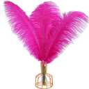 THARAHT Hot Pink Ostrich Feathers 12pcs Large Natural Bulk 16-18Inch 40cm-45cm for Wedding Party Centerpieces Easter Gatsbi and Home Decoration Feathers (Fuchsia)