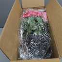 2 Pack Artificial Geranium Flowers Topitary Trees for Outdoors, UV Resistant Geraniums Potted Bushes Look Real Silk Faux Plants for Front Door Garden Porch Planter Farmhouse Home Decor (Peach Red)