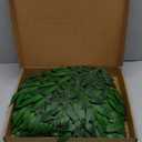 FUNORNAM 60Pcs Italian Ruscus Greenery Stems Artificial Silk Greenery Leaves for DIY Wedding Arch Bouquet Filler Table Centerpieces Home Indoor Decor
