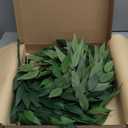 Artificial Italian Ruscus Greenery Stems, 20 Pack Faux Green Leaf Garland Branches Hanging Greenery Spray for Wedding Bouquet Arch Table Centerpiece Home Decor