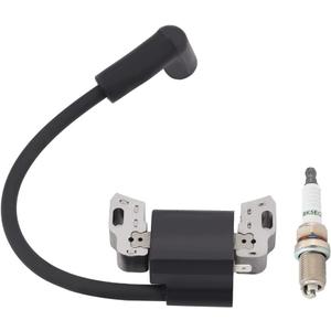 Hipa 593872 Ignition Coil Armature Magneto for BS 593381 799582