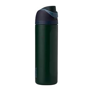 Owala FreeSip Insulated Stainless Steel Water Bottle with Straw, BPAFree Sports Water Bottle, Great for Travel, 24 Oz, Lost Signal