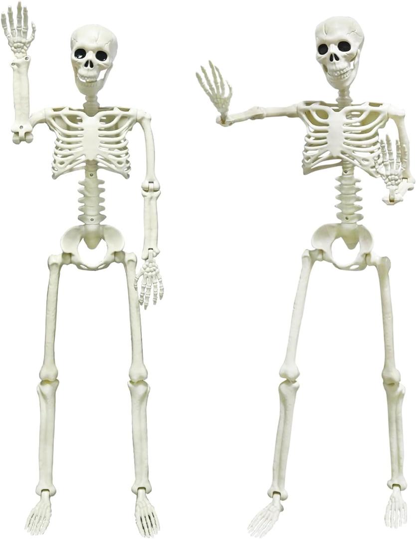 CAMIRUS 2PACK 36" Skeleton Halloween Decorations, 3ft Life Full Size Skeleton with Realistic Posable Movable Joints for Halloween Haunted Houses, Lawn, Graveyard