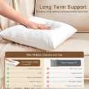 Organic Feather Down Throw Pillow Inserts (26x26 Inch, Set of 2) - 100% Cotton Shell, Filling of Feathers, Euro Square Decorative Pillow Form Core for Couch, Sofa, and Bed