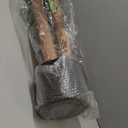 6FT Artificial Banana Tree Tall Fake Banana Leaf Plant Faux Banana Silk Tree Faux Banana Leaves for Home Swimming Pool Indoor Outdoor Patio Tropical Decor