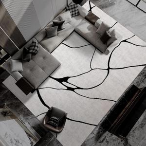 YIHOUSE Modern Washable Area Rug for Living Room Bedroom - Large Abstract Black and White Rug Non-Slip Ultra-Thin Home Decor (Warping, 9'x12')